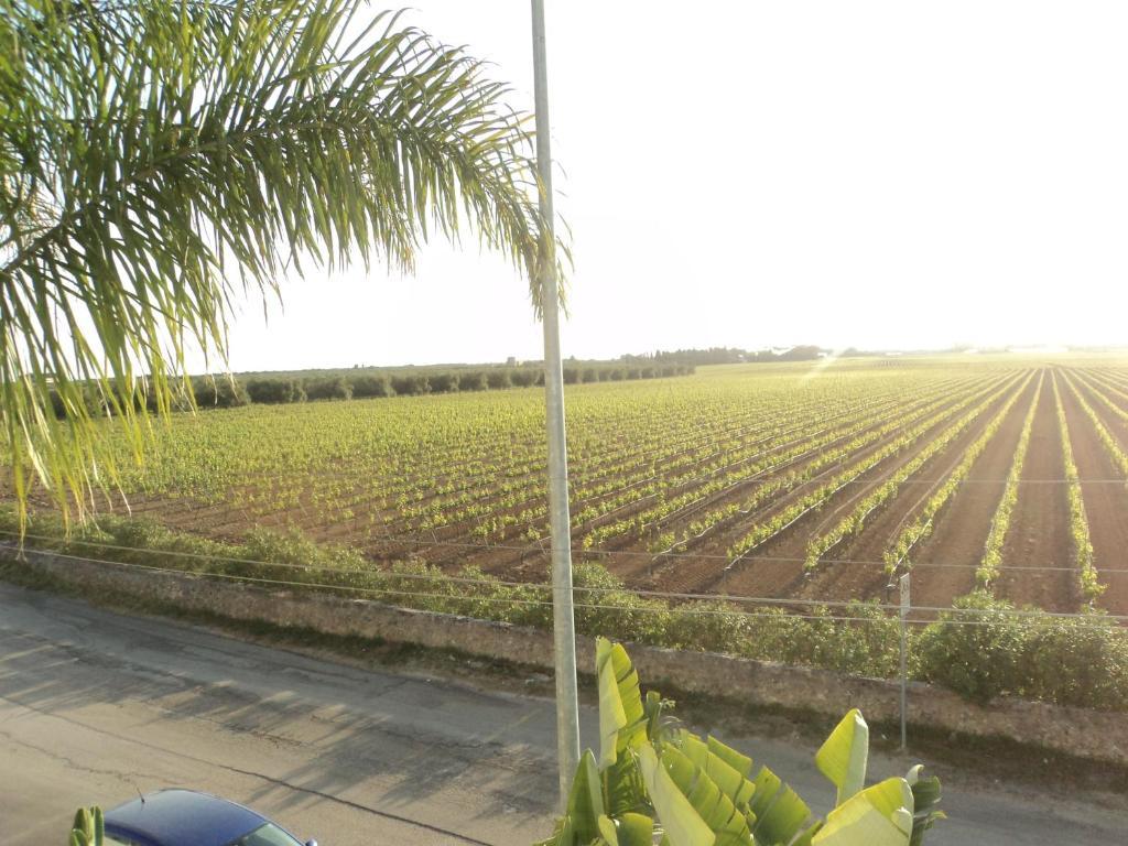 Eco Green La Vigna Леверано Стая снимка